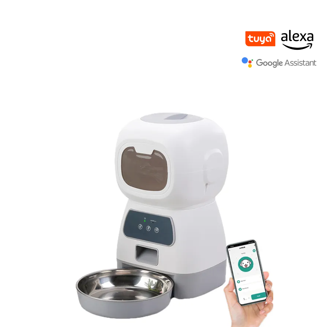 boquilla de aire reemplazable - 2025-08-19T141131.355